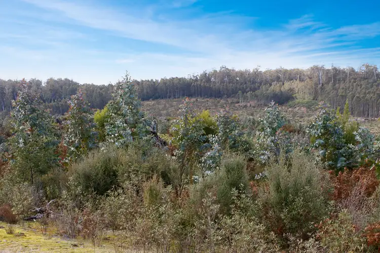 Third view of Homely land listing, Lot 1 Dilgers Hill Road, Mathinna TAS 7214