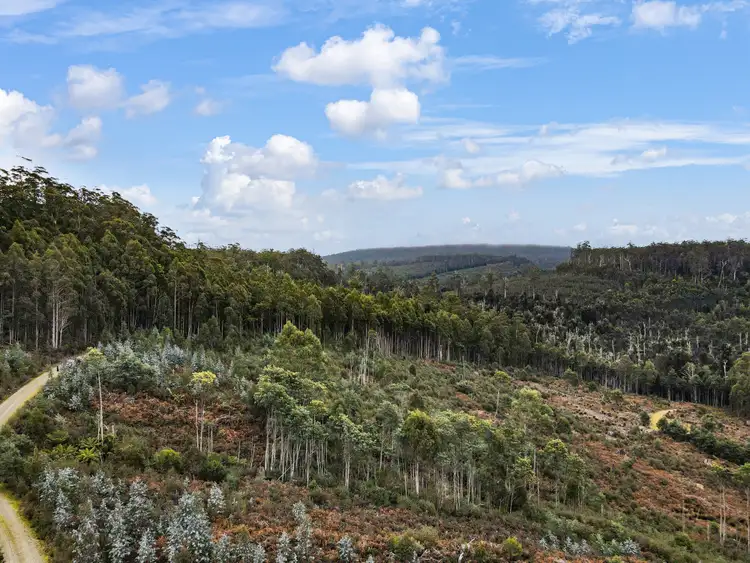 Fifth view of Homely land listing, Lot 1 Dilgers Hill Road, Mathinna TAS 7214