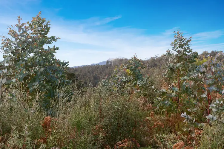 Sixth view of Homely land listing, Lot 1 Dilgers Hill Road, Mathinna TAS 7214