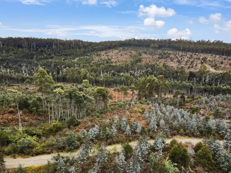 Seventh view of Homely land listing, Lot 1 Dilgers Hill Road, Mathinna TAS 7214