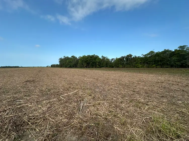 Seventh view of Homely rural property listing, Address available on request