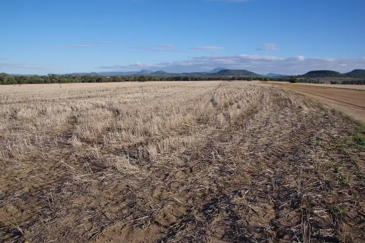 Second view of Homely rural property listing, 2956 Berrigal Creek Road, Bellata NSW 2397