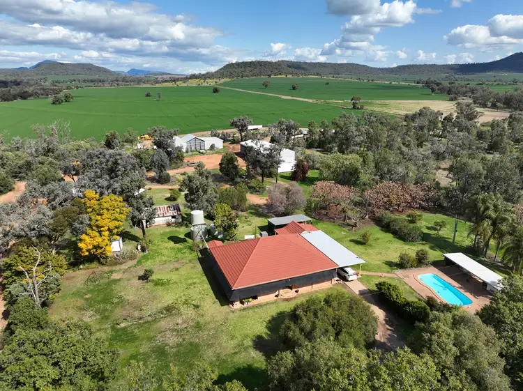 Fifth view of Homely rural property listing, 2956 Berrigal Creek Road, Bellata NSW 2397