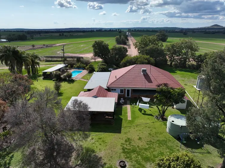 Sixth view of Homely rural property listing, 2956 Berrigal Creek Road, Bellata NSW 2397
