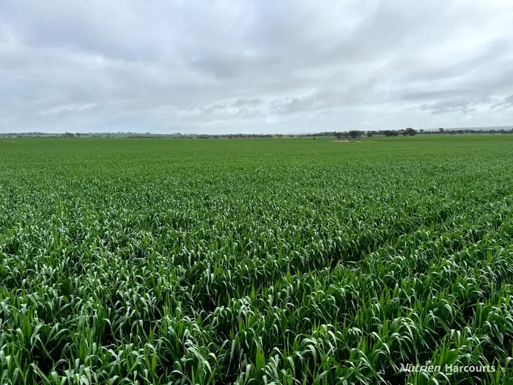 Sixth view of Homely rural property listing, Maywood/12752 Great Eastern Hwy, Cunderdin WA 6407