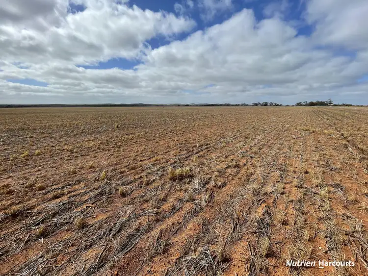 Second view of Homely rural property listing, 216 Evaside Road, Gutha WA 6623