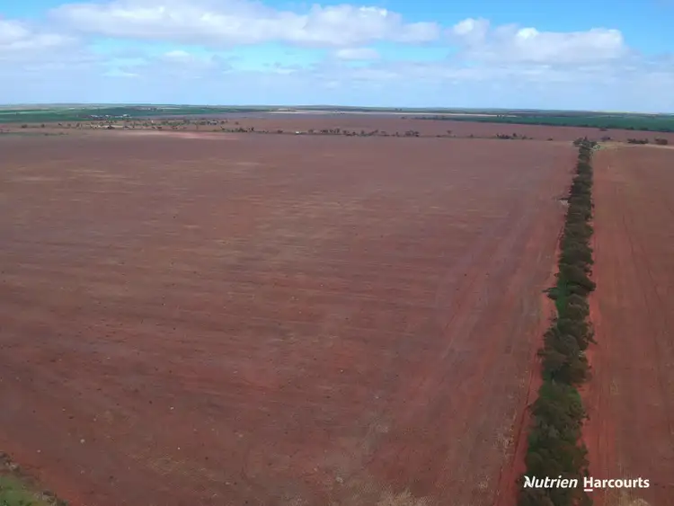 Sixth view of Homely rural property listing, 216 Evaside Road, Gutha WA 6623