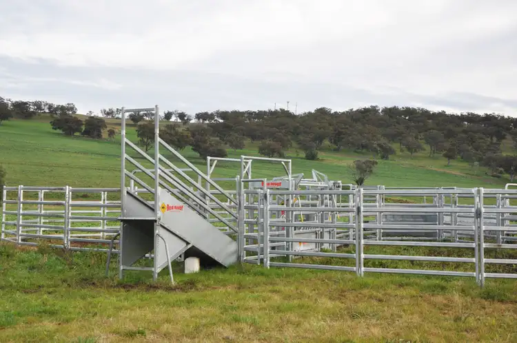 Sixth view of Homely rural property listing, 'South Valley' Racecourse Rd, Cassilis NSW 2329