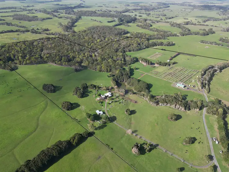 Second view of Homely rural property listing, 90 Bischoffs Road, Pegarah TAS 7256