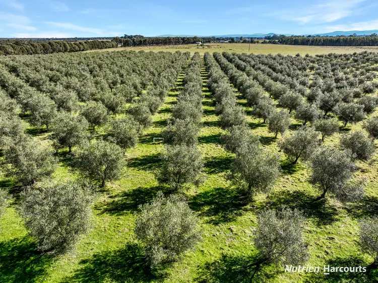 Fifth view of Homely rural property listing, 408 Munro-stockdale Road, Munro VIC 3862