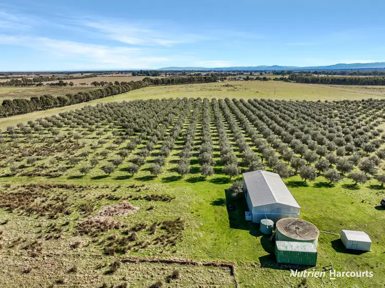 Sixth view of Homely rural property listing, 408 Munro-stockdale Road, Munro VIC 3862