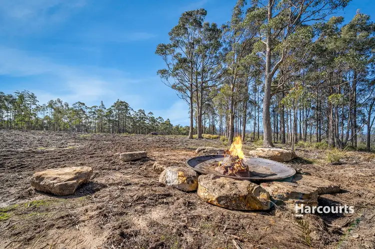 Lot 1 Levendale Back Road, Levendale TAS 7120