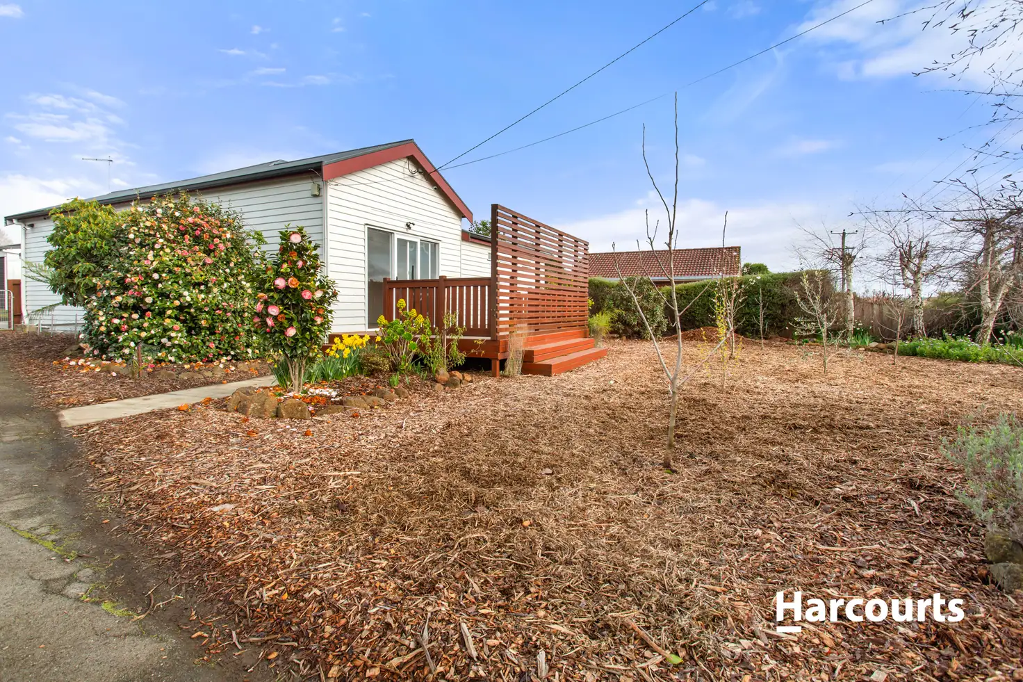 Main view of Homely house listing, 11 Gofton Street, Scottsdale TAS 7260
