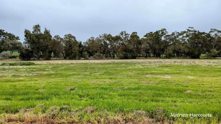 Fifth view of Homely land listing, 120 McHavloe Drive, Gingin WA 6503