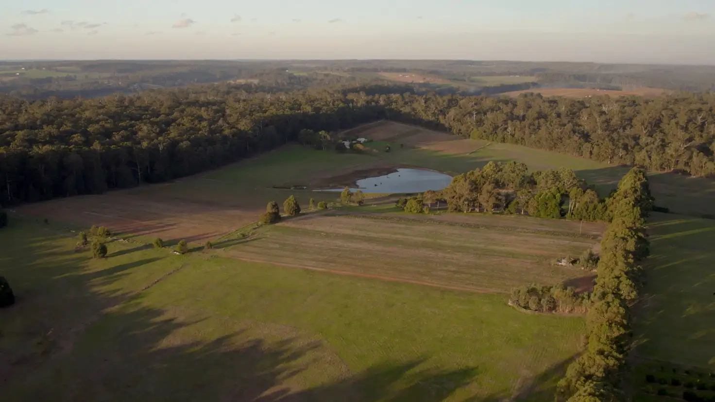 Main view of Homely rural property listing, 29406 South Western Highway (Diamond Tree), Manjimup WA 6258