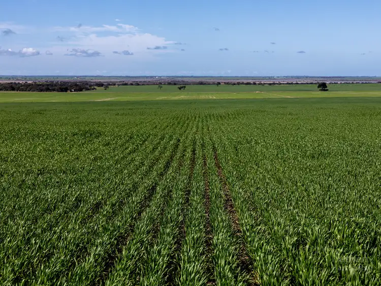 Sect. 207 Sturt Bay Road, Warooka SA 5577