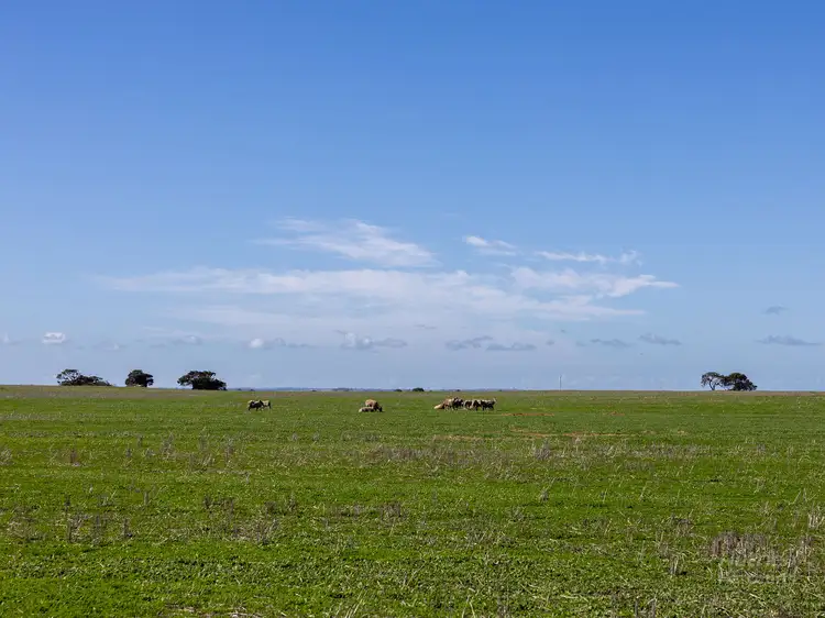 Seventh view of Homely rural property listing, Sect. 207 Sturt Bay Road, Warooka SA 5577