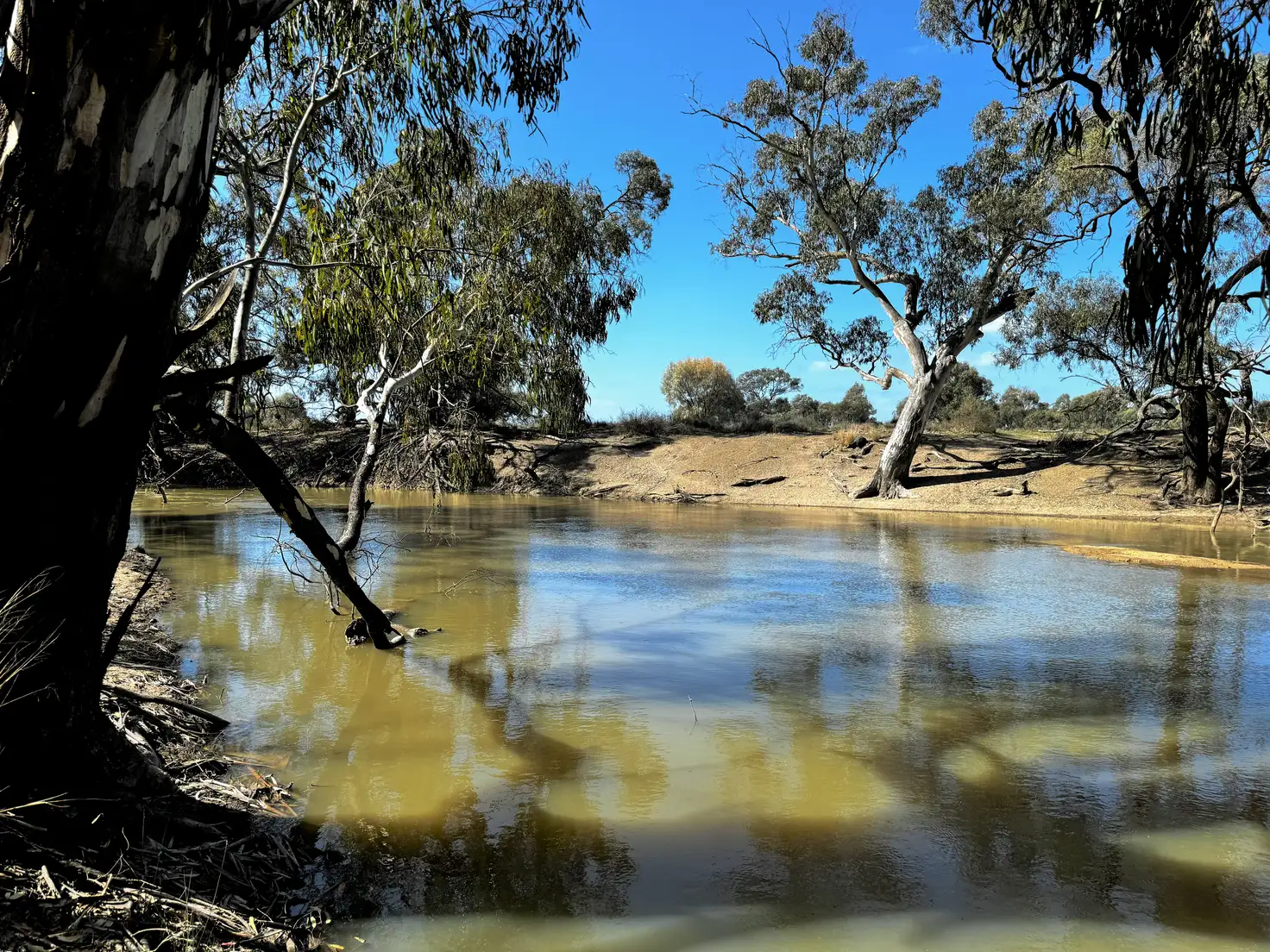 Main view of Homely rural property listing, "Cumnock Creek" Brassi Road, Deniliquin NSW 2710