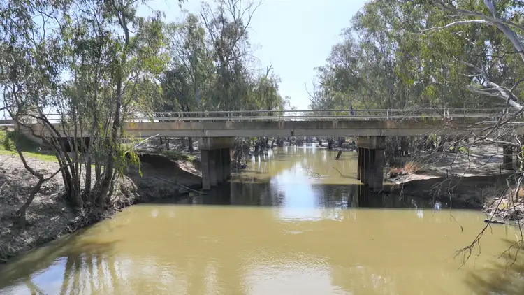 Seventh view of Homely rural property listing, "Cumnock Creek" Brassi Road, Deniliquin NSW 2710