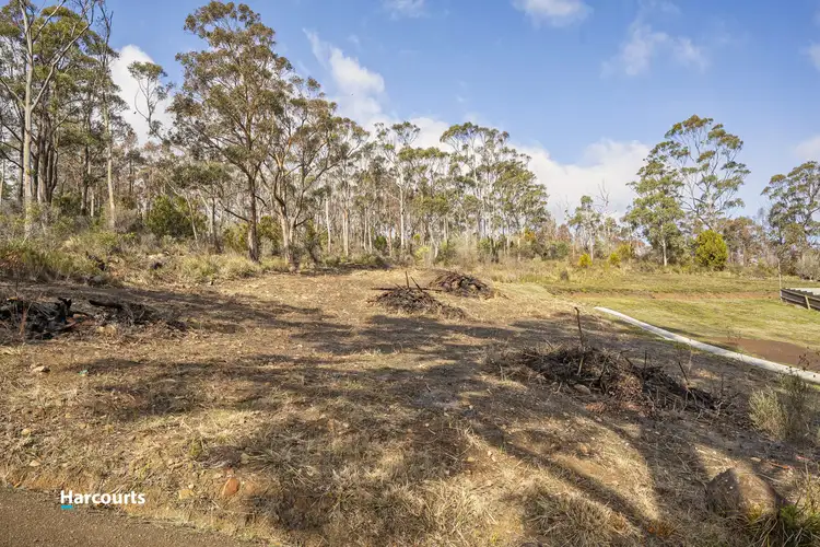 Fourth view of Homely land listing, 42 Hill Street, Geeveston TAS 7116