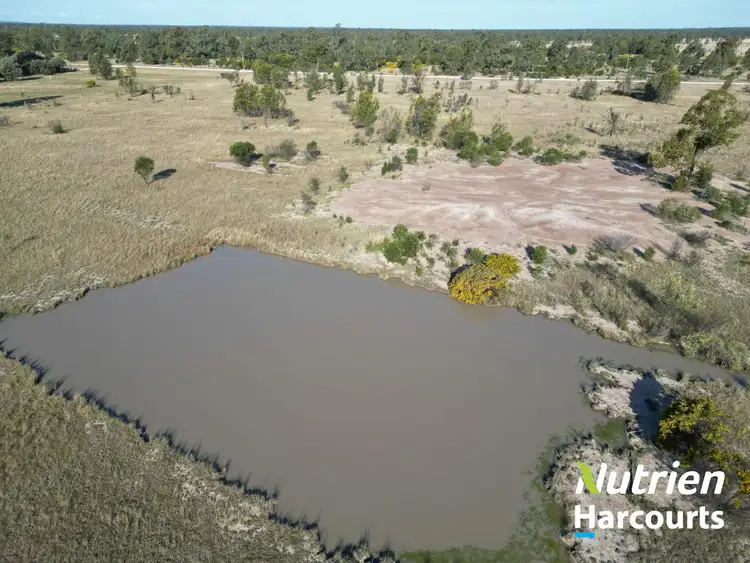 Second view of Homely rural property listing, 117 Kofoeds Road, Tara QLD 4421