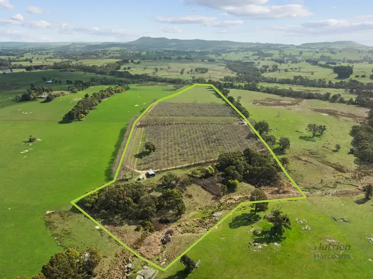 699 Ankers Road, Strathbogie VIC 3666