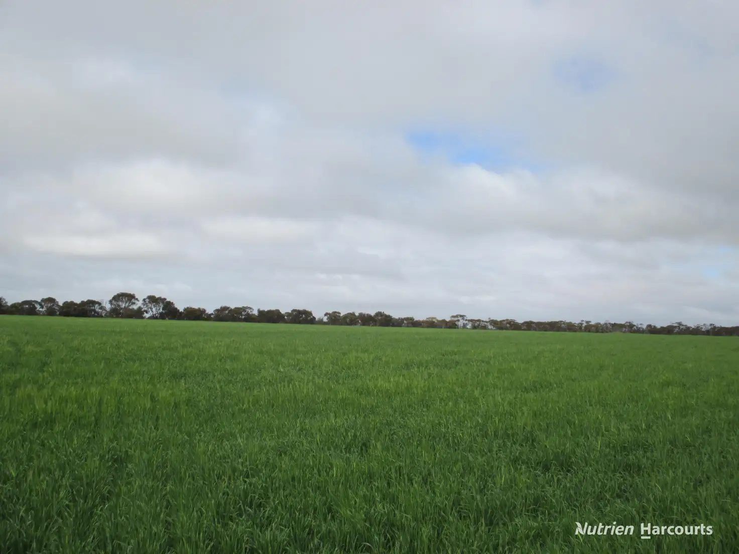 Main view of Homely rural property listing, . Wooroonga, Newdegate WA 6355
