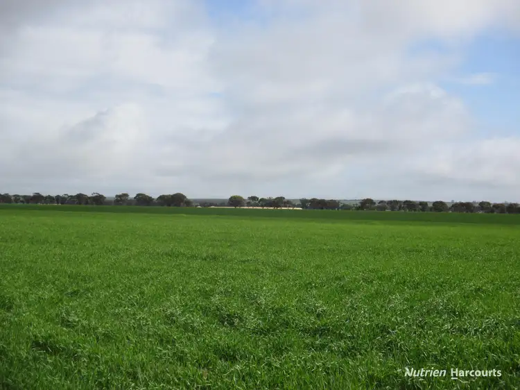 Second view of Homely rural property listing, . Wooroonga, Newdegate WA 6355
