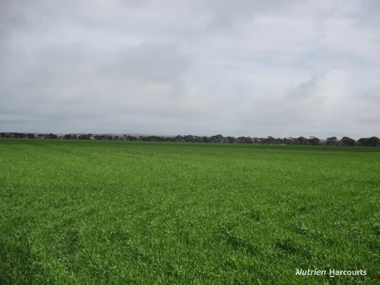 Third view of Homely rural property listing, . Wooroonga, Newdegate WA 6355
