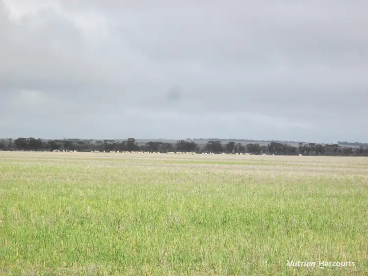 Fifth view of Homely rural property listing, . Wooroonga, Newdegate WA 6355