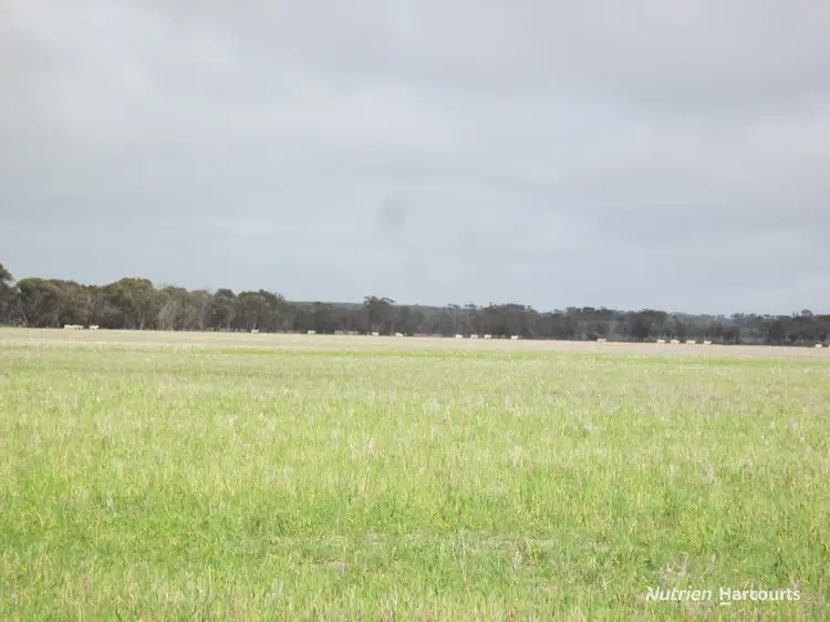 Sixth view of Homely rural property listing, . Wooroonga, Newdegate WA 6355