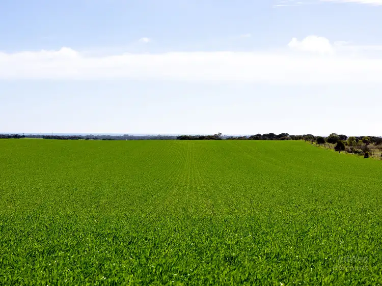 Main view of Homely rural property listing, 420 Hundred Line Road, Corny Point SA 5575