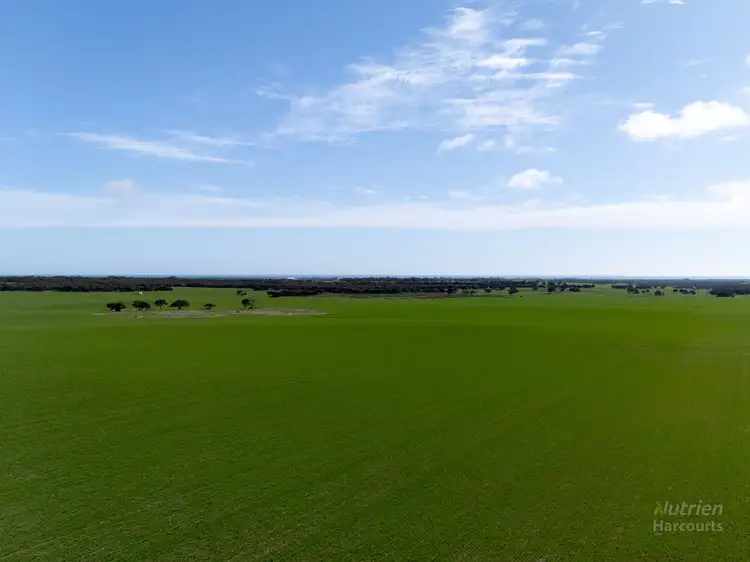 Sixth view of Homely rural property listing, 420 Hundred Line Road, Corny Point SA 5575