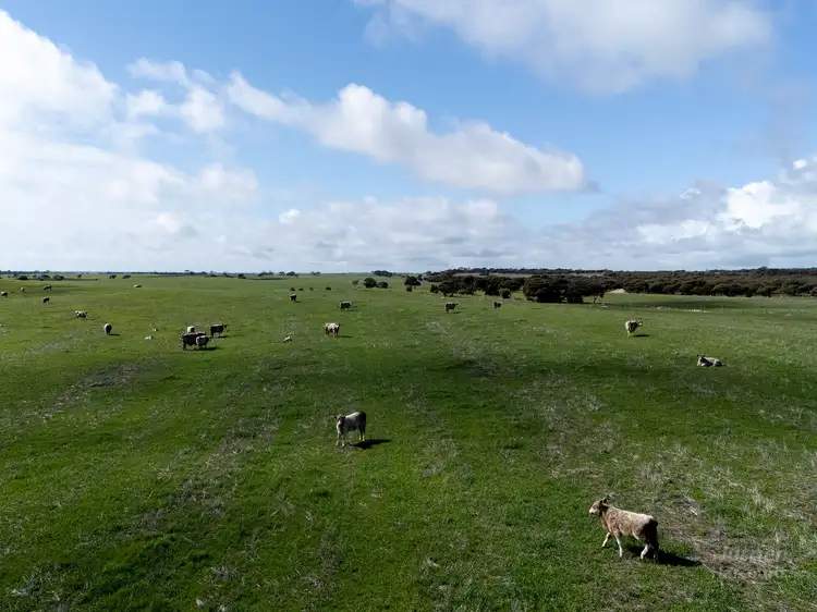 Seventh view of Homely rural property listing, 420 Hundred Line Road, Corny Point SA 5575