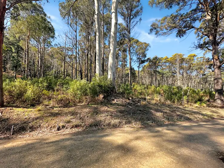 Second view of Homely land listing, Lot 5 Gardiners Creek Road, St Marys TAS 7215