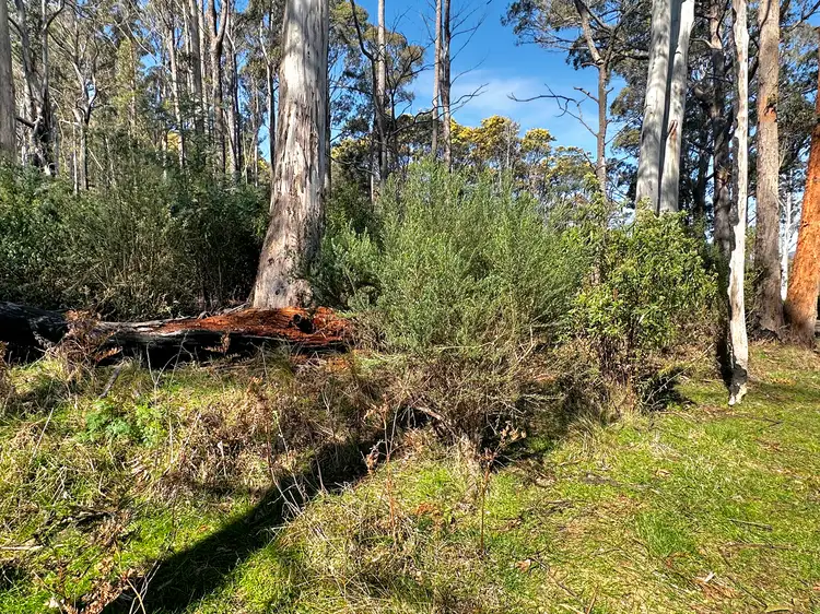 Third view of Homely land listing, Lot 5 Gardiners Creek Road, St Marys TAS 7215