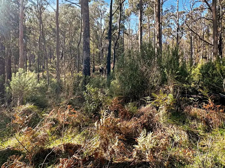 Fourth view of Homely land listing, Lot 5 Gardiners Creek Road, St Marys TAS 7215