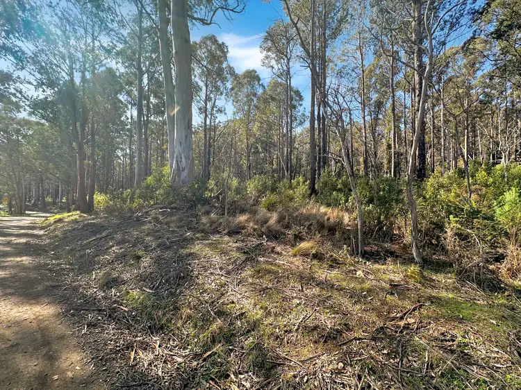 Fifth view of Homely land listing, Lot 5 Gardiners Creek Road, St Marys TAS 7215