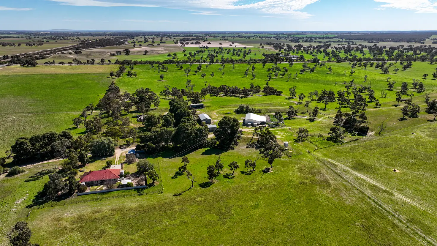 Main view of Homely rural property listing, 7783 Dukes Highway, Culburra SA 5261