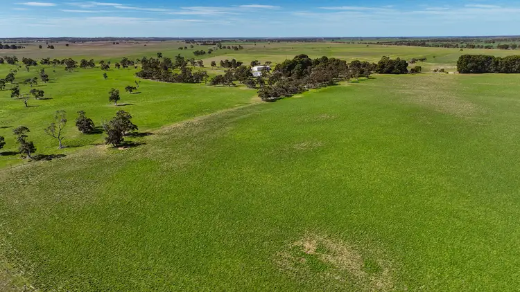 Third view of Homely rural property listing, 7783 Dukes Highway, Culburra SA 5261