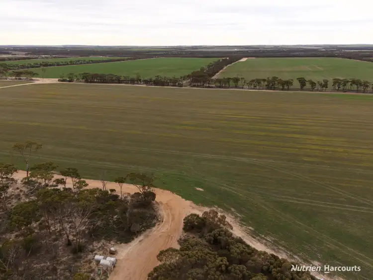 Third view of Homely rural property listing, 8717 Hyden-Lake King Road, Varley WA 6355