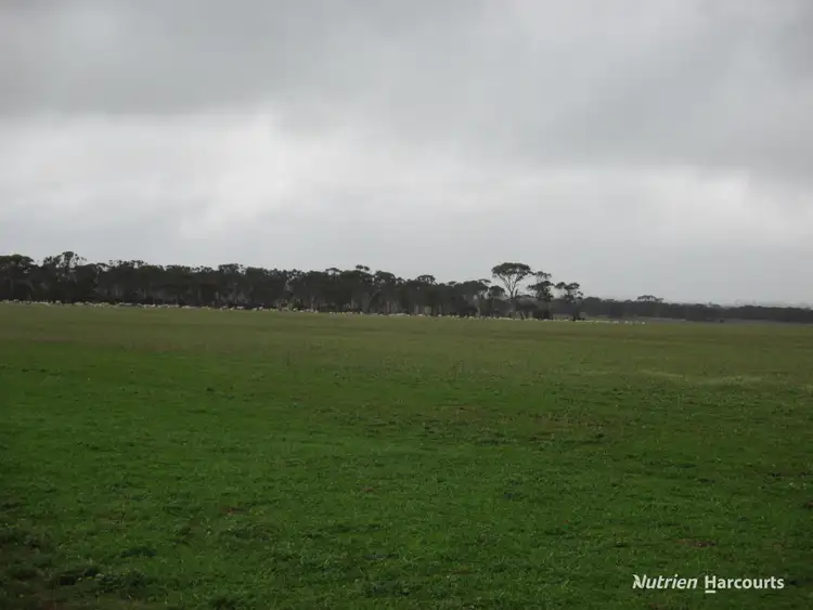 Fourth view of Homely rural property listing, 8717 Hyden-Lake King Road, Varley WA 6355