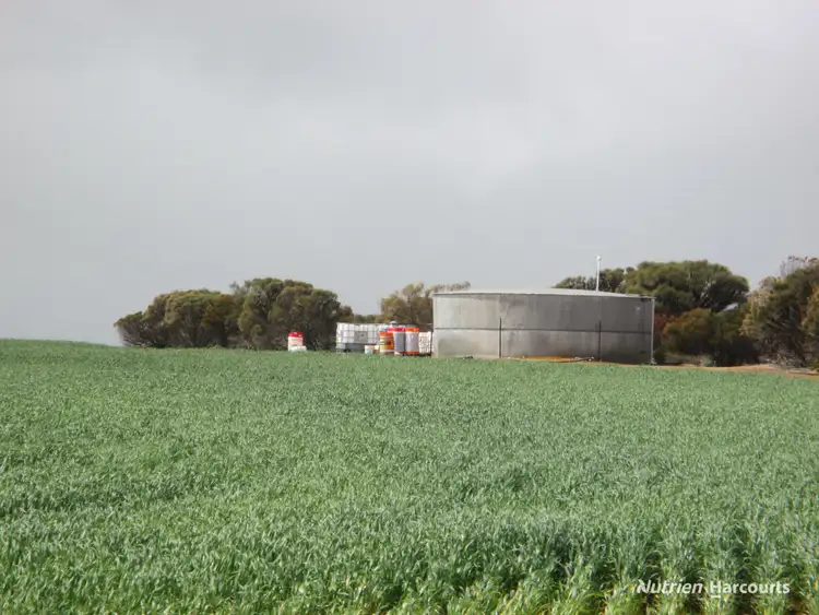 Fifth view of Homely rural property listing, 8717 Hyden-Lake King Road, Varley WA 6355