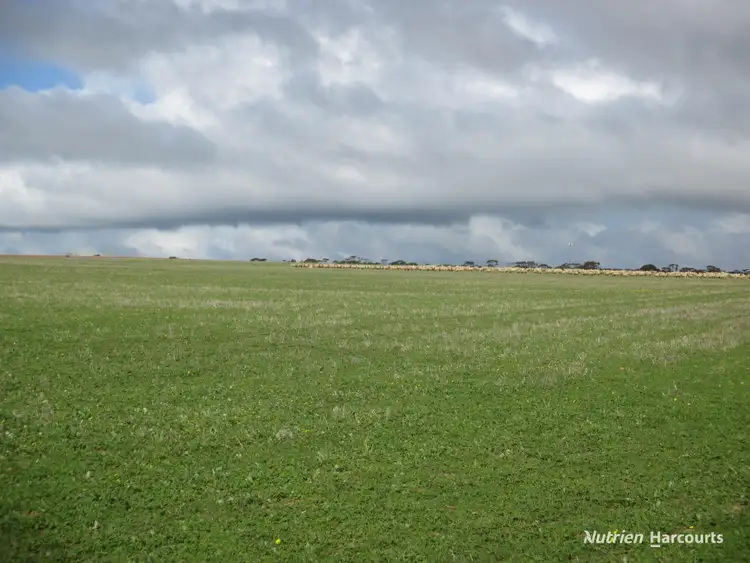 Sixth view of Homely rural property listing, 8717 Hyden-Lake King Road, Varley WA 6355