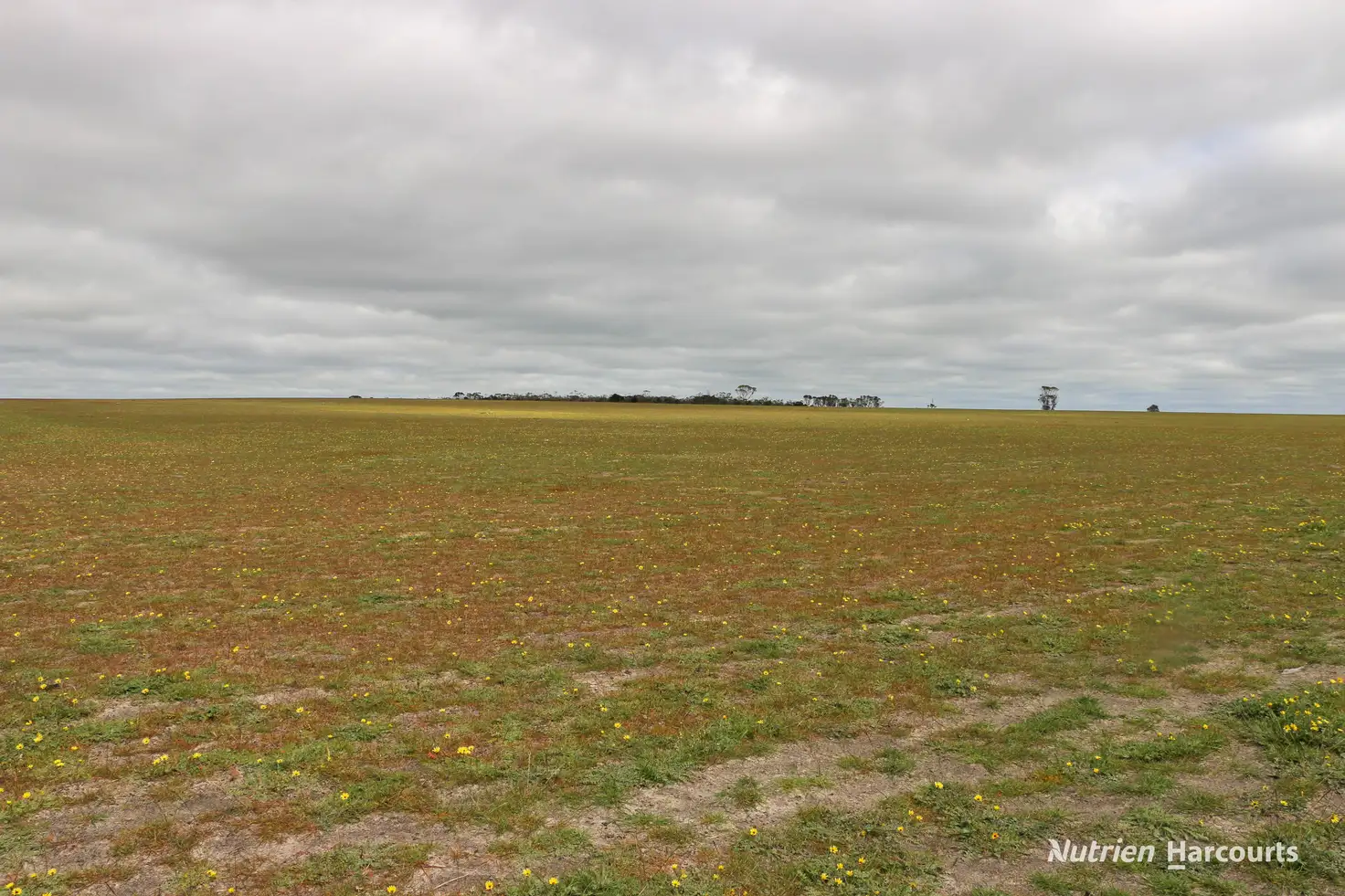 Main view of Homely rural property listing, Lot 1958 Long Creek Road, Ravensthorpe WA 6346