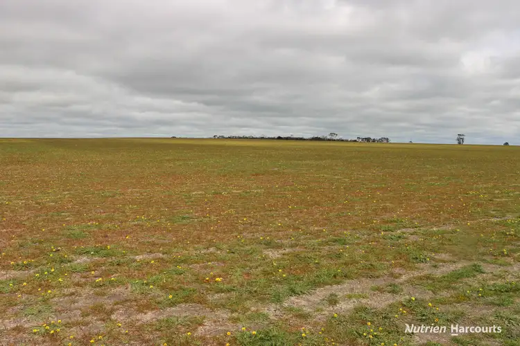 Fifth view of Homely rural property listing, Lot 1958 Long Creek Road, Ravensthorpe WA 6346