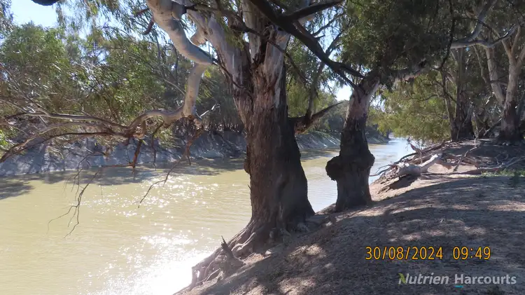 Second view of Homely rural property listing, * SALTBUSH, 2389 Curranyalpa Road, Tilpa NSW 2840