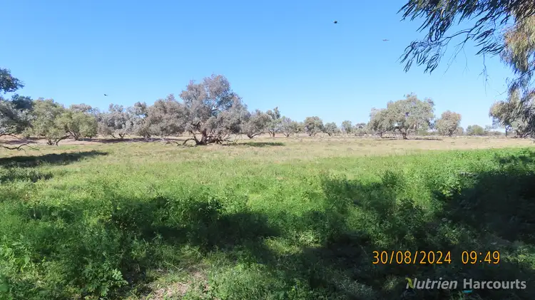 Third view of Homely rural property listing, * SALTBUSH, 2389 Curranyalpa Road, Tilpa NSW 2840