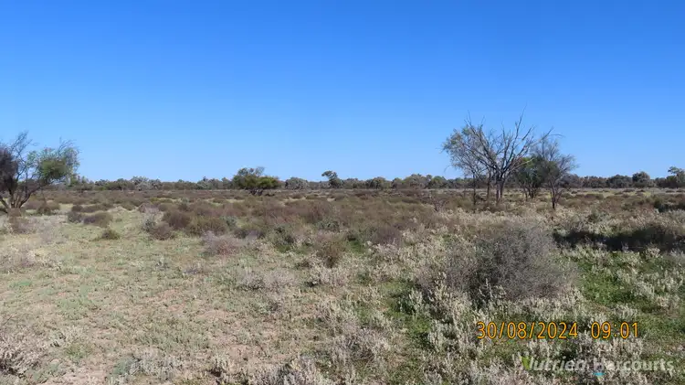 Fifth view of Homely rural property listing, * SALTBUSH, 2389 Curranyalpa Road, Tilpa NSW 2840
