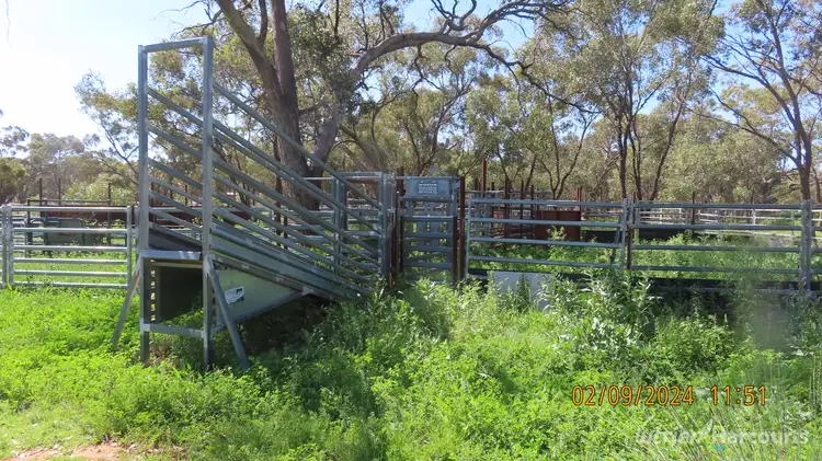 Fourth view of Homely rural property listing, * Needlewood, Nymagee NSW 2831